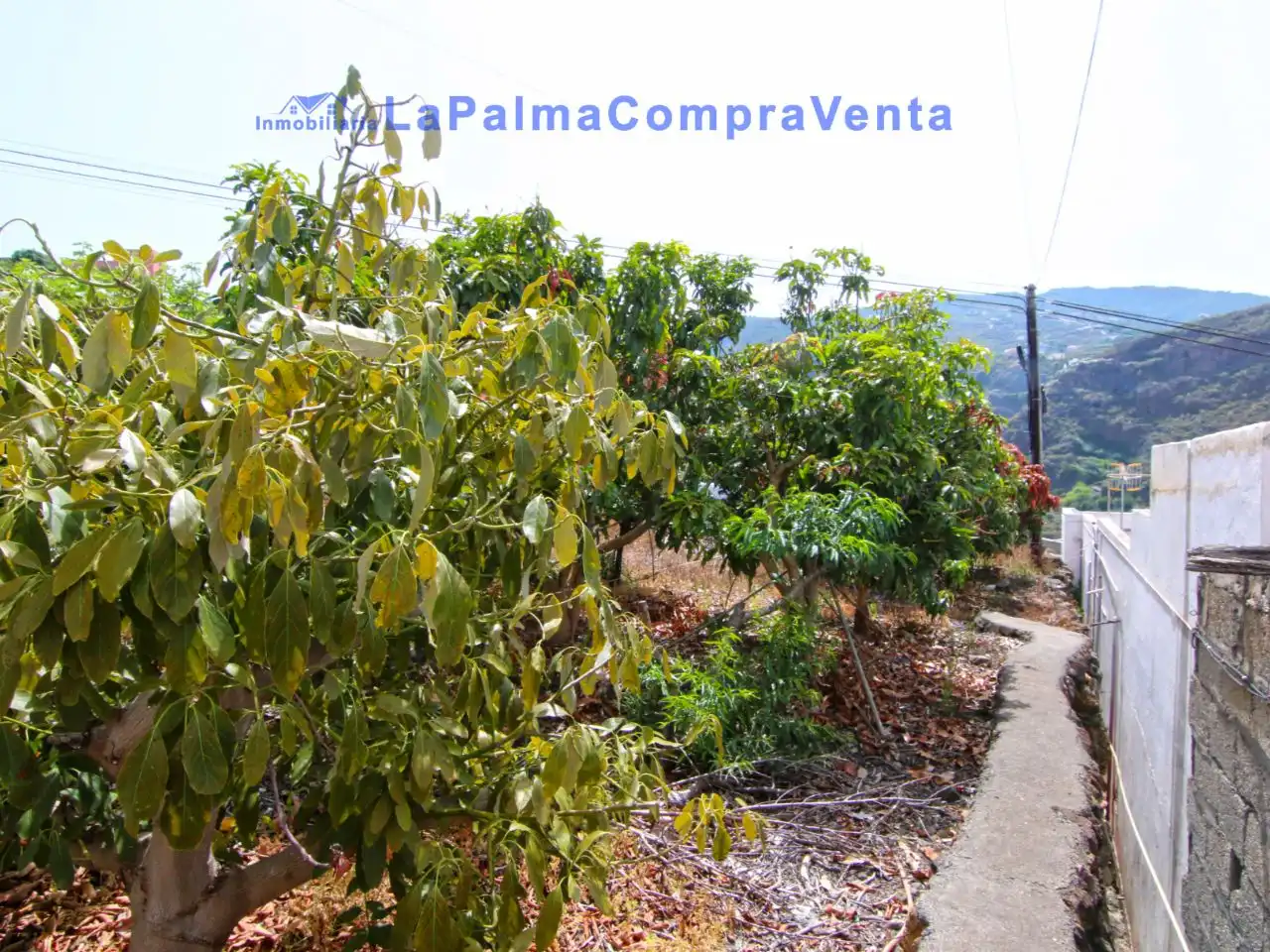 Terreno en venta en San Andrés y Sauces