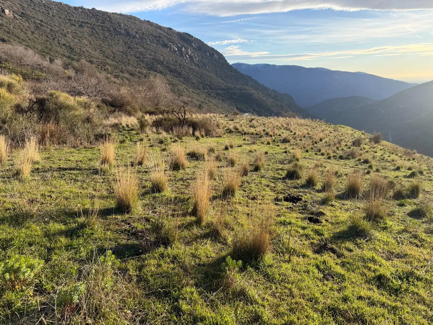 Rural land for sale in Bubión, imagen 11