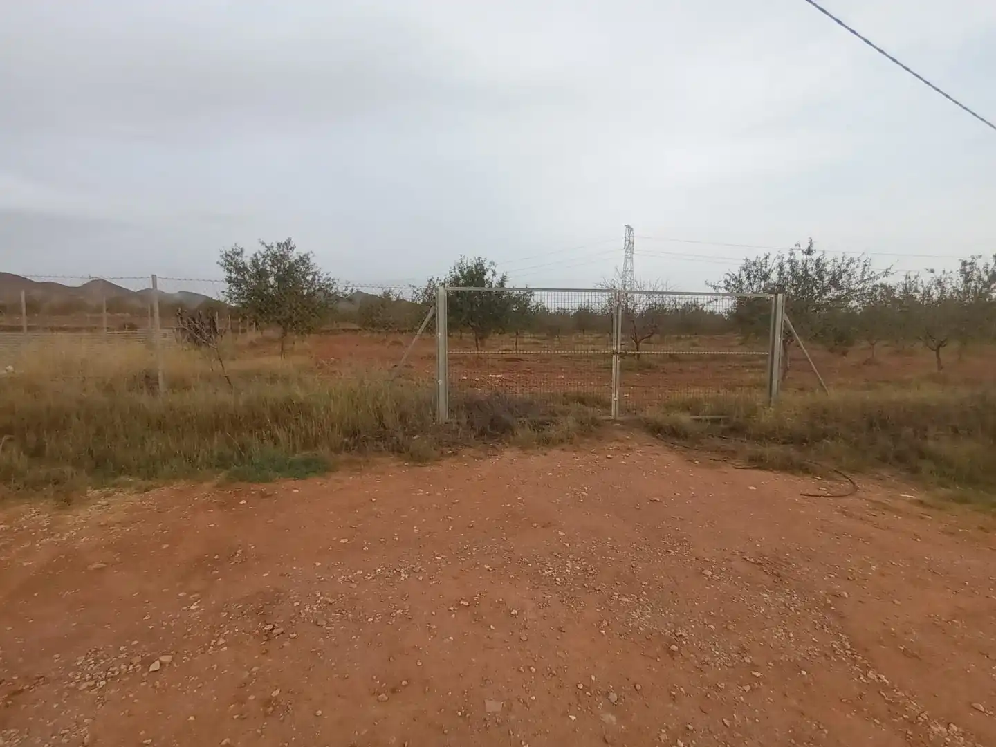 Terreny rústic en venda a Pedanías Oeste, imagen 11