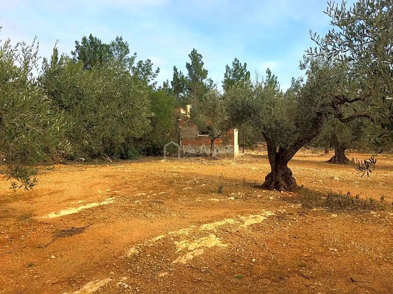 Terreno rustico in vendita a Burga, imagen 9