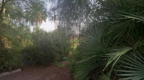 Foto 2 de Casa o xalet en venda a La Foia - Daimés - Asprella, Elche / Elx