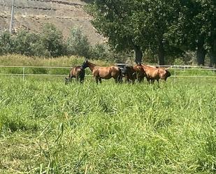 Vista exterior de Finca rústica en venda en Aranjuez amb Aire condicionat, Calefacció i Jardí privat