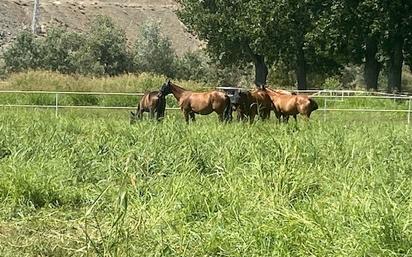 Vista exterior de Finca rústica en venda en Aranjuez amb Aire condicionat, Terrassa i Piscina