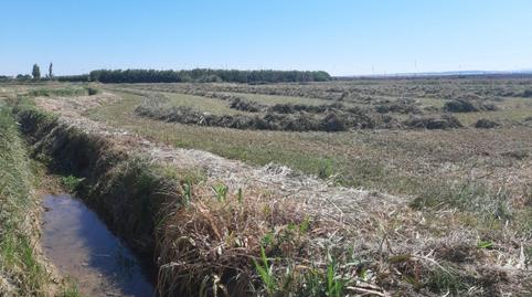 Photo 3 of Land for sale in San Gregorio, Zaragoza