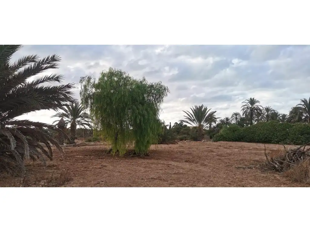 Terreno residencial en venta en La Marina