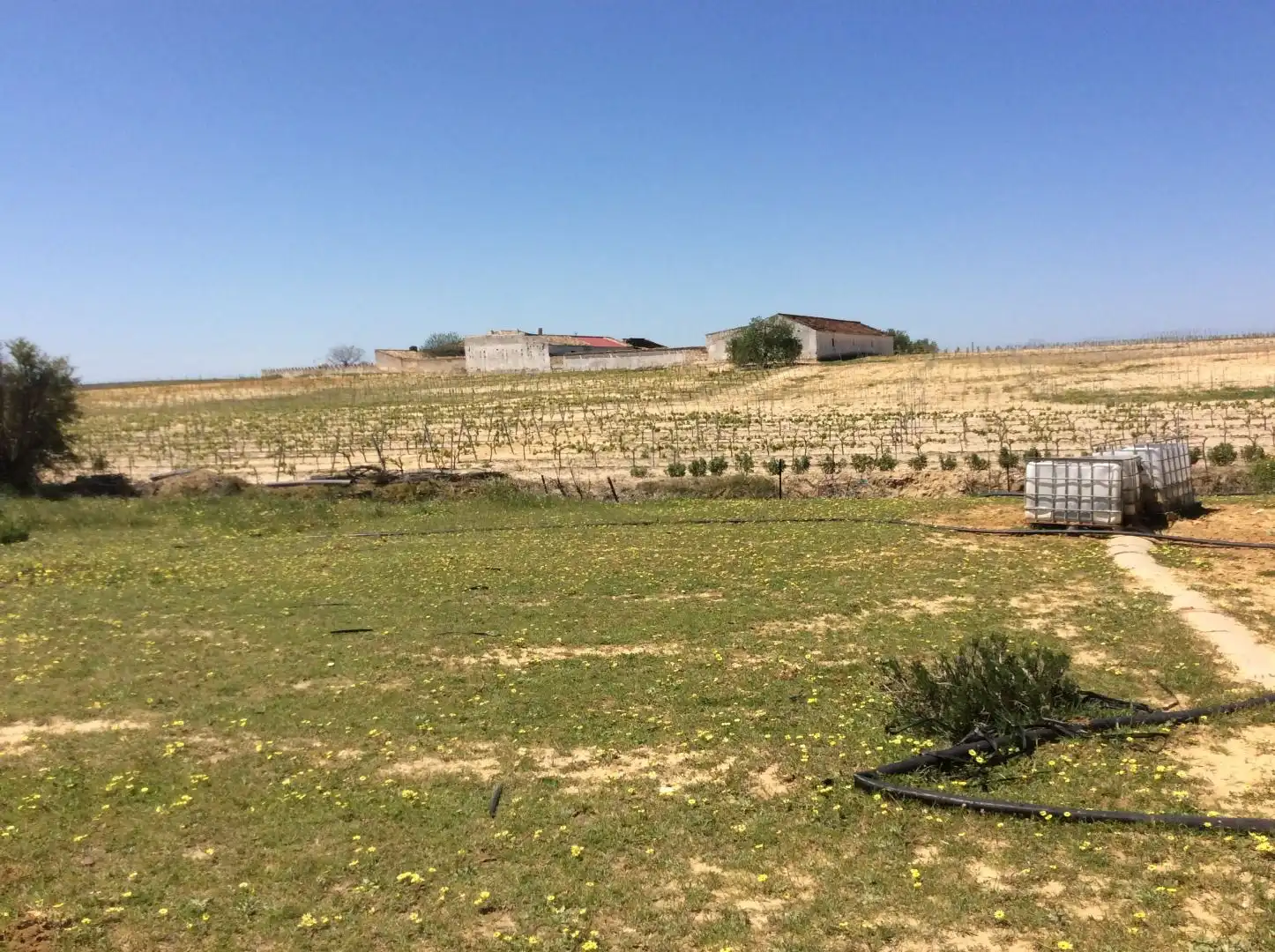 Land for sale in Almonte
