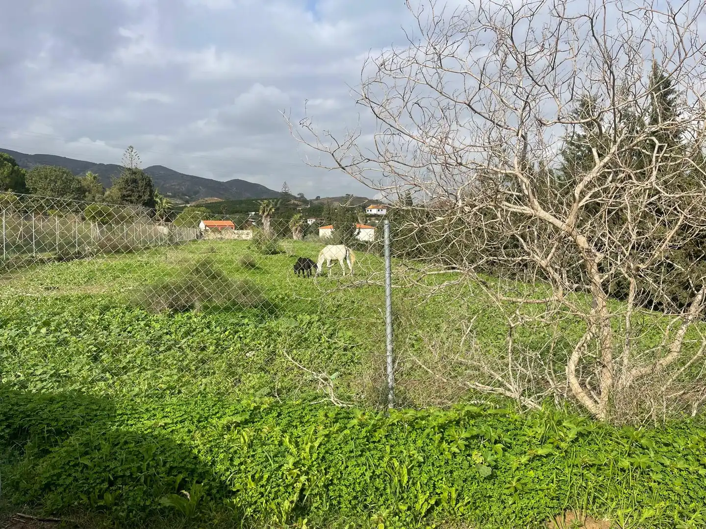 Terreno rustico in vendita a El Romeral - Peñón de Zapata, imagen 7