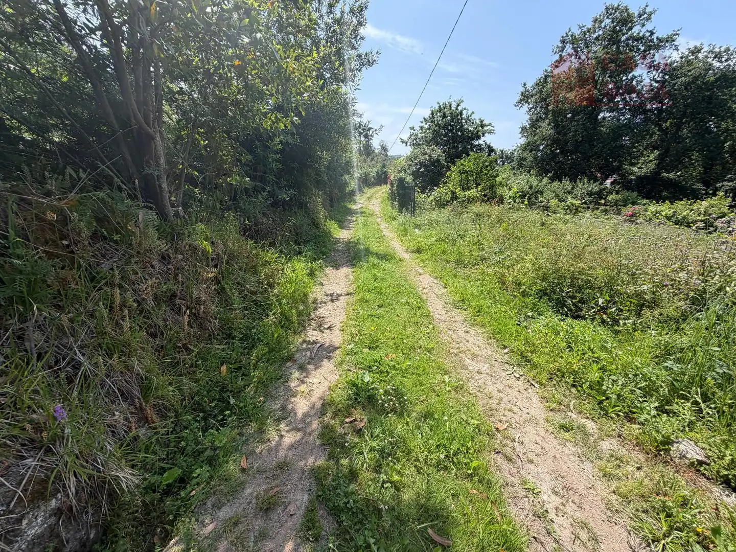 Terreno rustico in vendita a Bueu, imagen 29