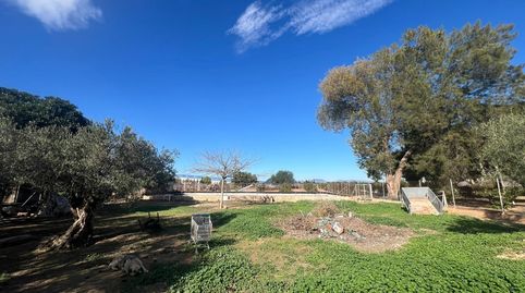 Photo 3 of Country homes for sale in Torre-Pacheco ciudad, Torre-Pacheco