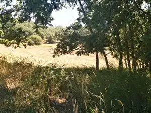 Terreni e lotti in vendita a Jarandilla de la Vera, imagen 4