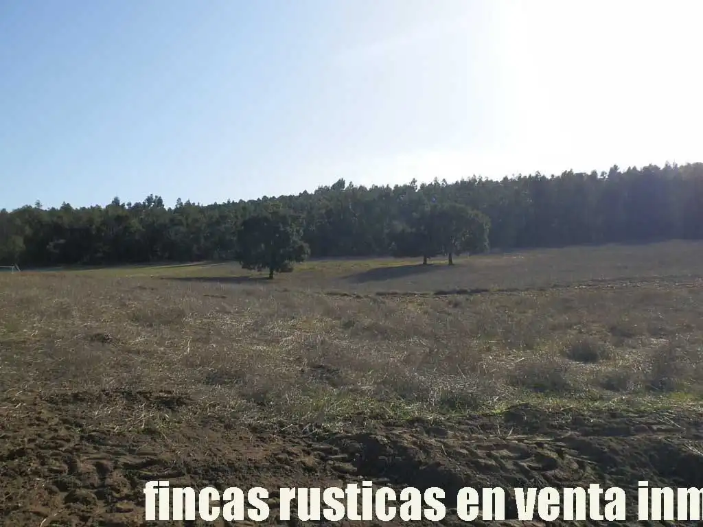Terreny rústic en venda a Puebla de Don Rodrigo, imagen 13