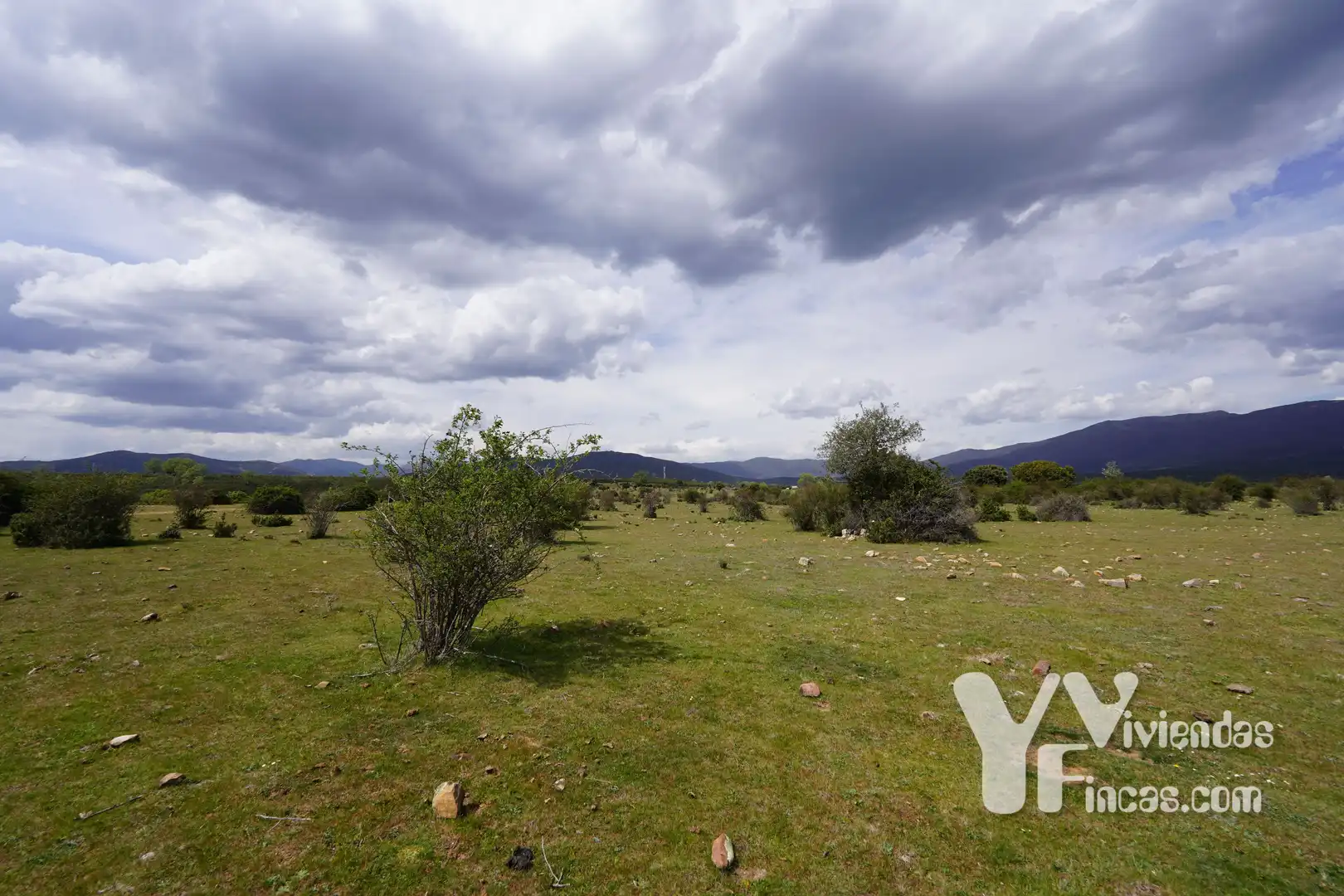 Terreno rústico en venta en Campillo de Ranas, imagen 22