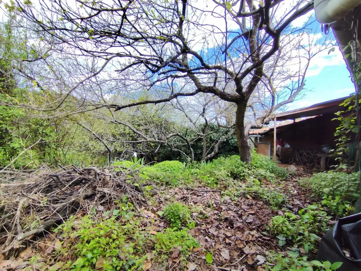Casa o chalet en venta en Torre de Don Miguel