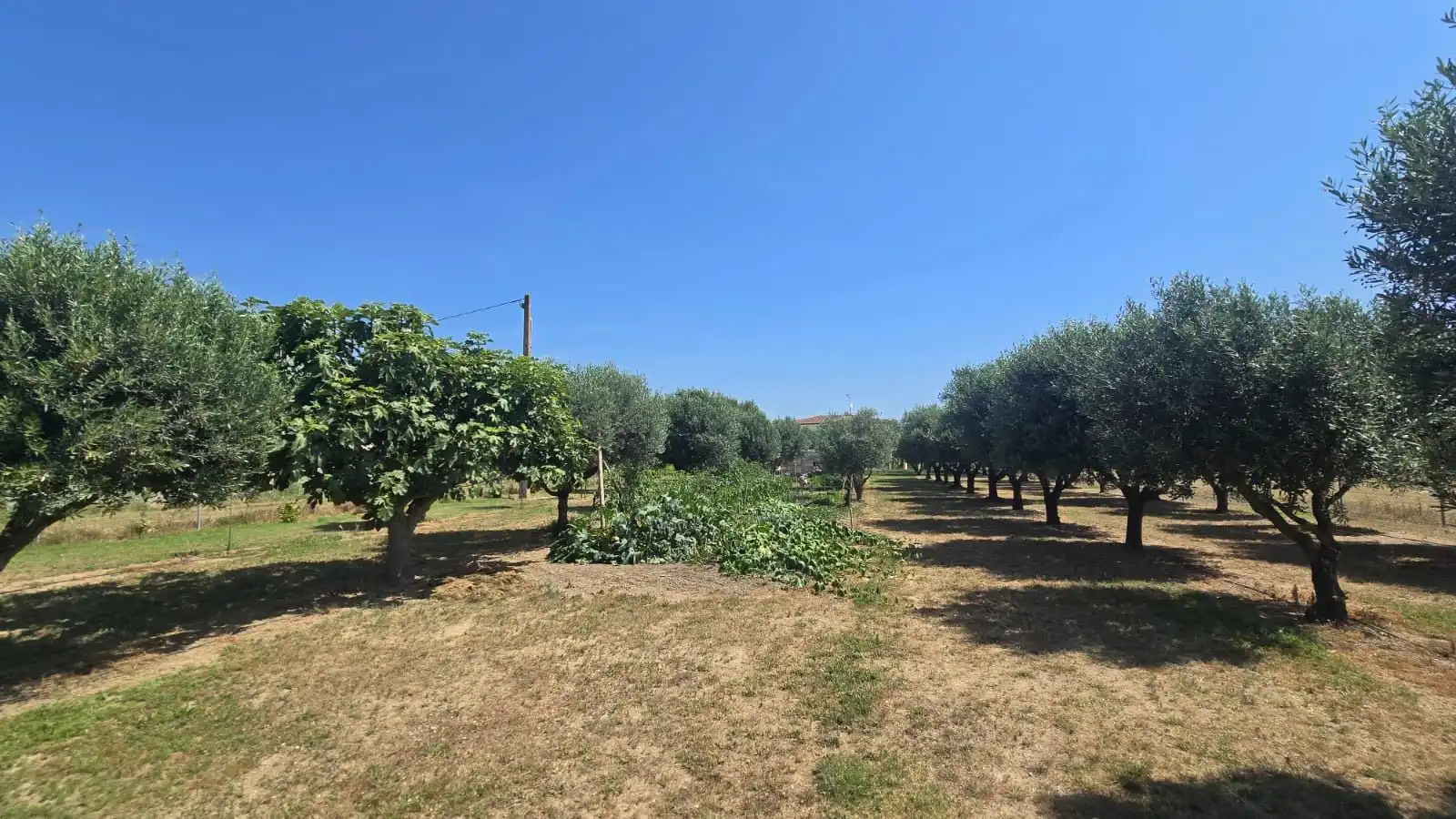 Casa con piscina en venta en Muga - Gran Reserva - Badia, imagen 21