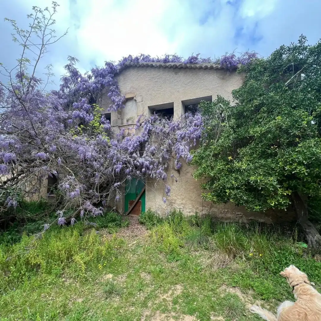 Vista exterior de Finca rústica en venta en Tossa de Mar con Jardín privado