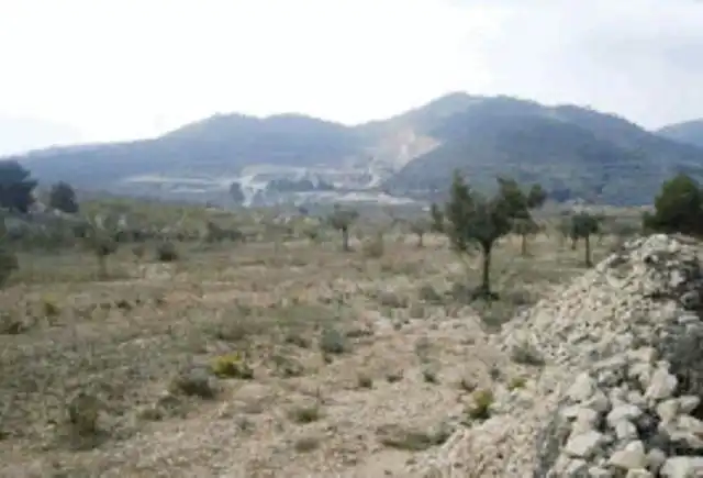Rural land for sale in Biar, imagen 4