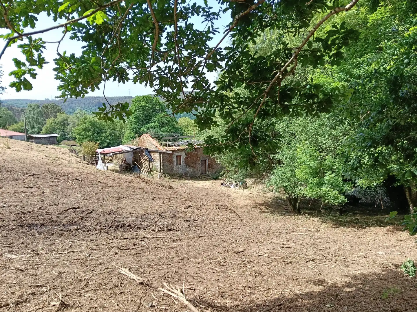 Maison avec jardin à vendre à Cesuras, imagen 20