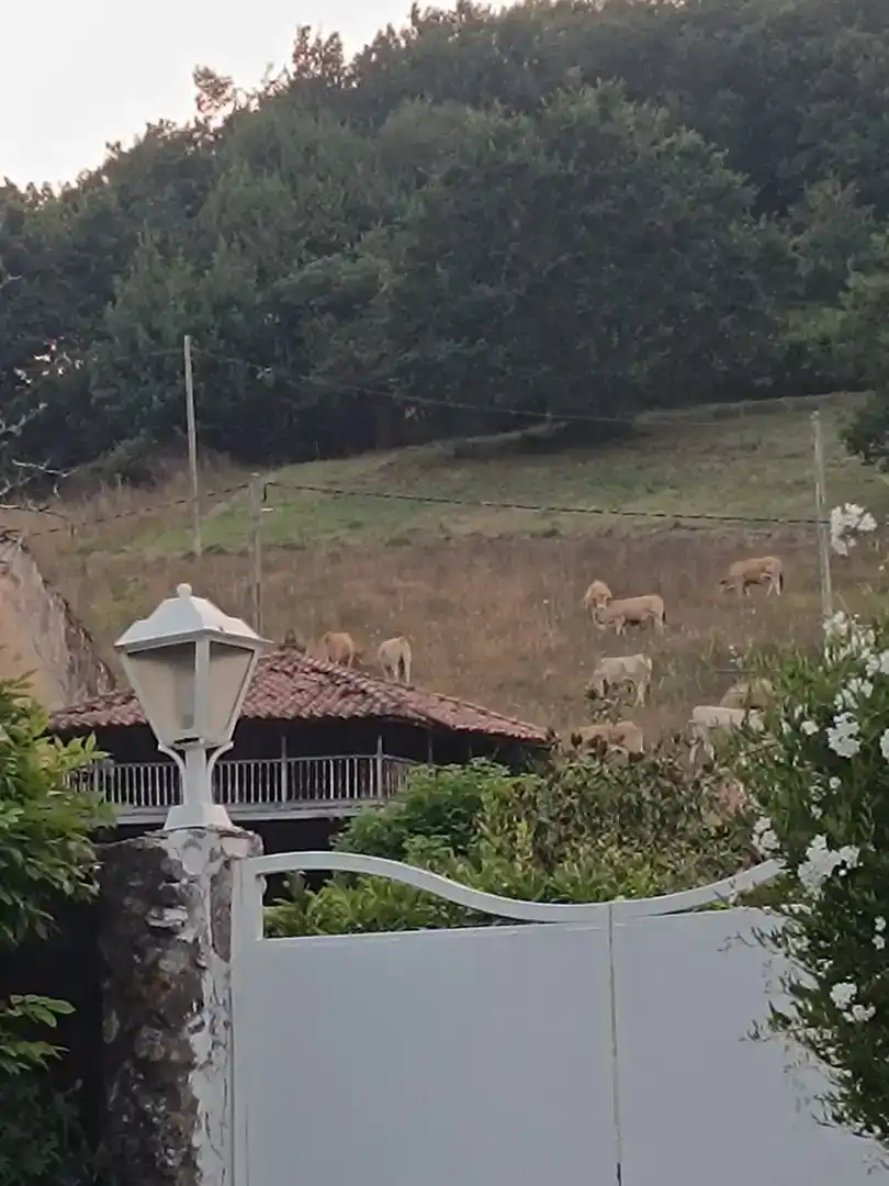 Vista exterior de Casa o xalet en venda en Soto del Barco