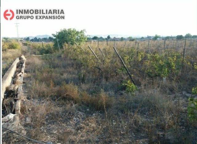 Terreno en Venta en Novelda