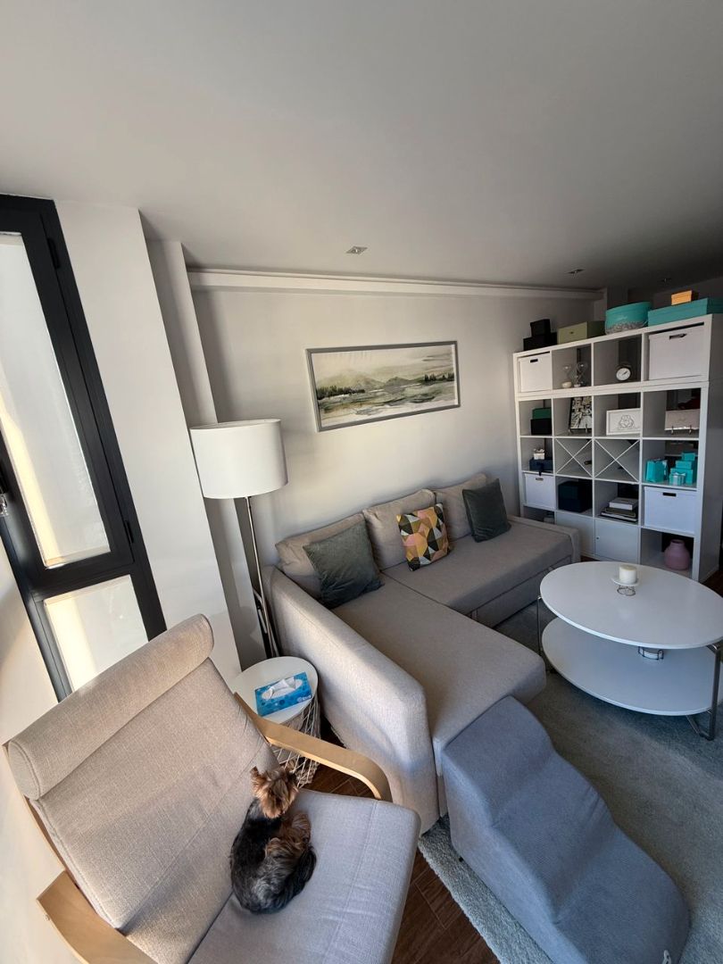 Sala d'estar de Pis de lloguer en  Madrid Capital amb Aire condicionat, Calefacció i Jardí privat