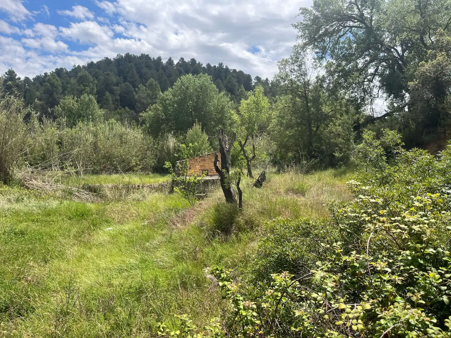 Terreno en venta en Cretas