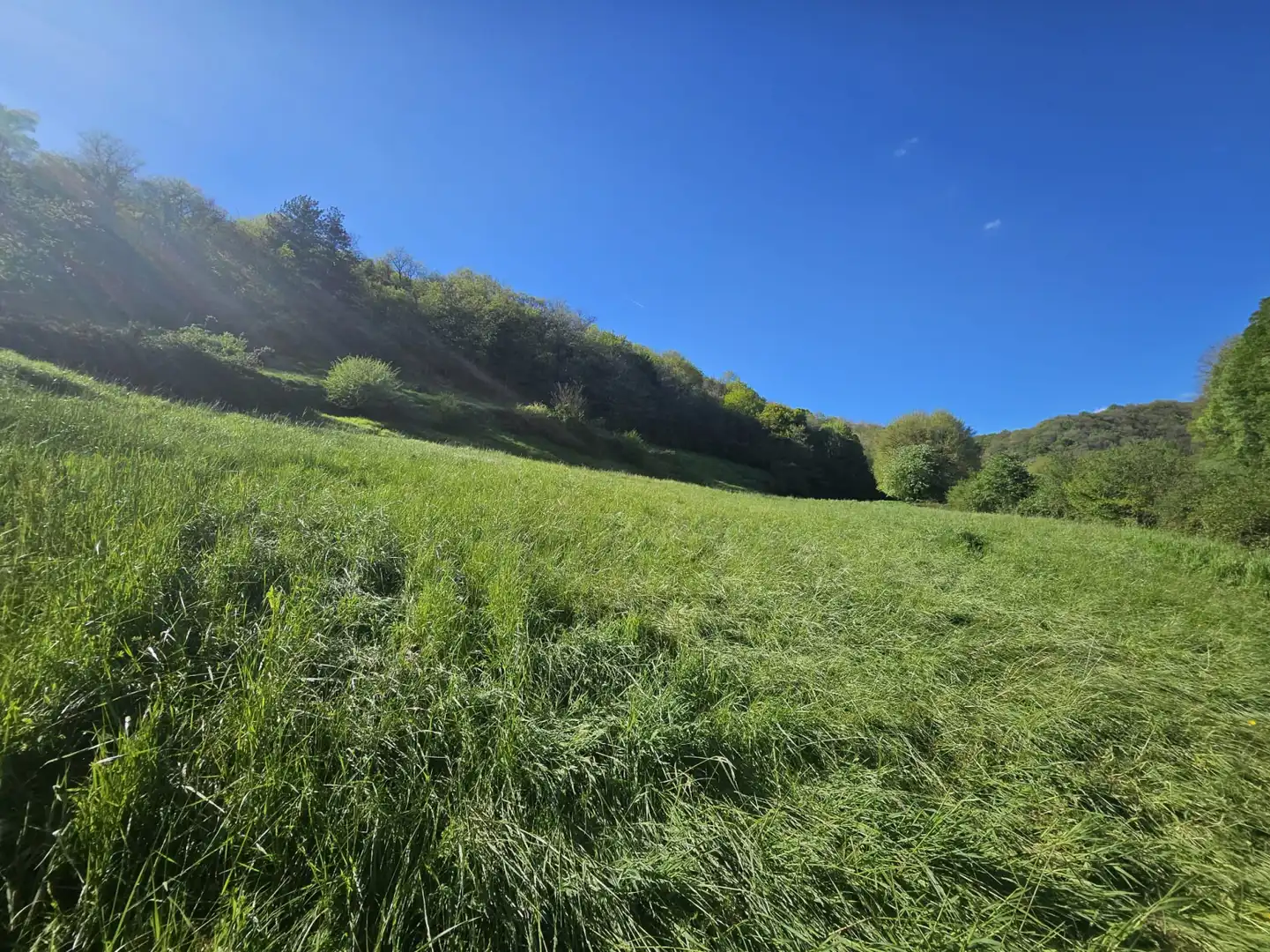 Terreno en venta en Imotz