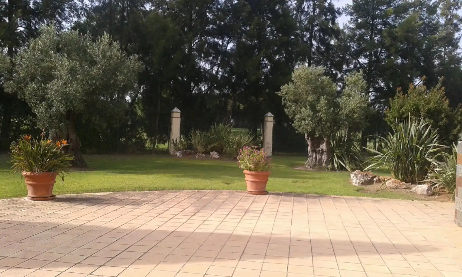 Garden of Flat for rent in El Portil  with Terrace, Furnished and Community pool