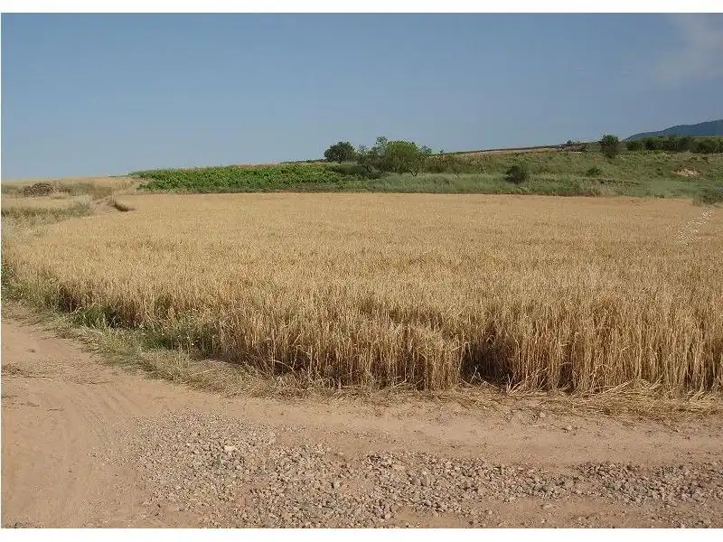 Terreny rústic en venda a Villamediana de Iregua