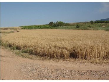 Terreno rustico in vendita a Villamediana de Iregua