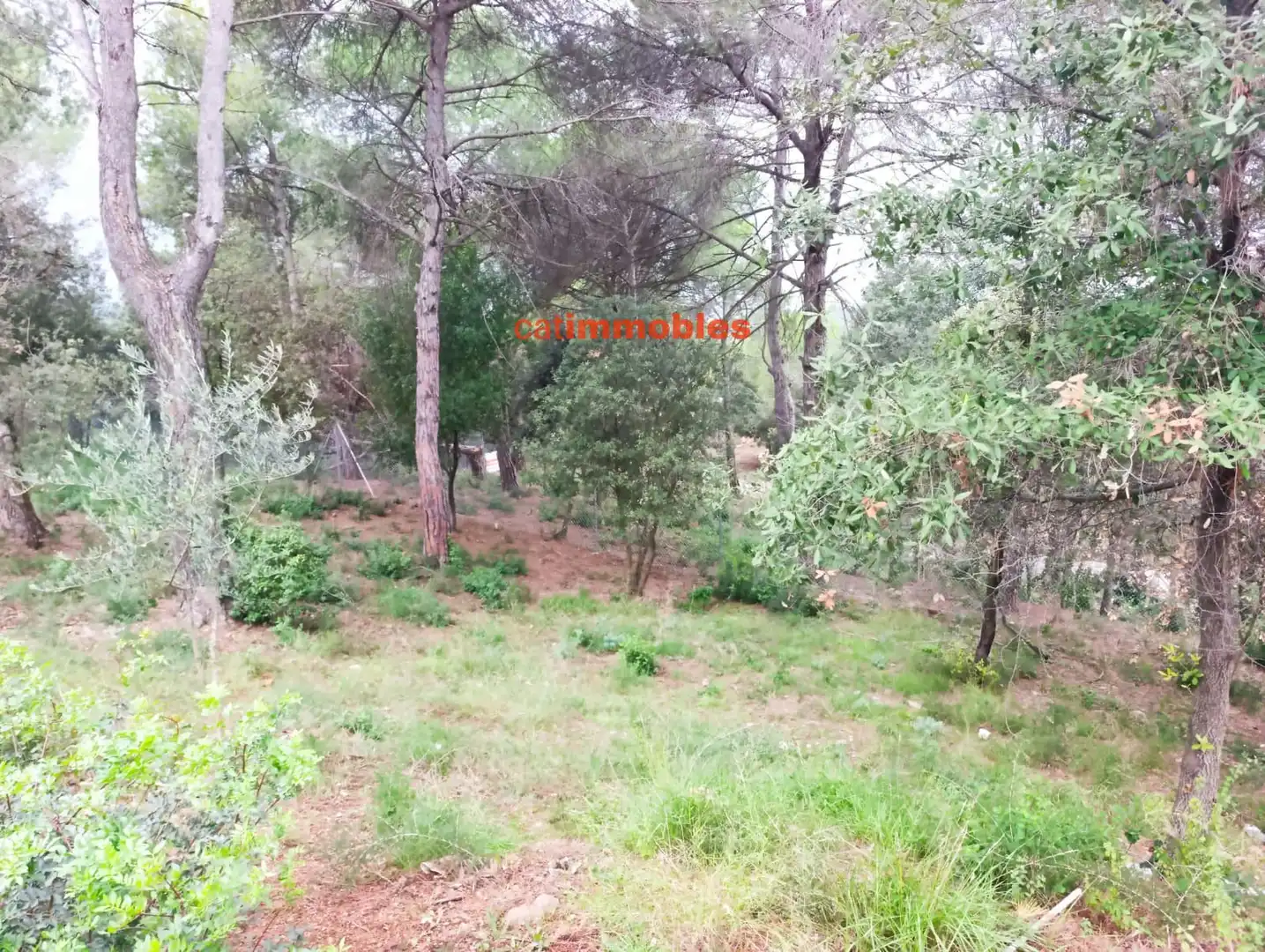 Residential for sale in Sant Cugat del Vallès