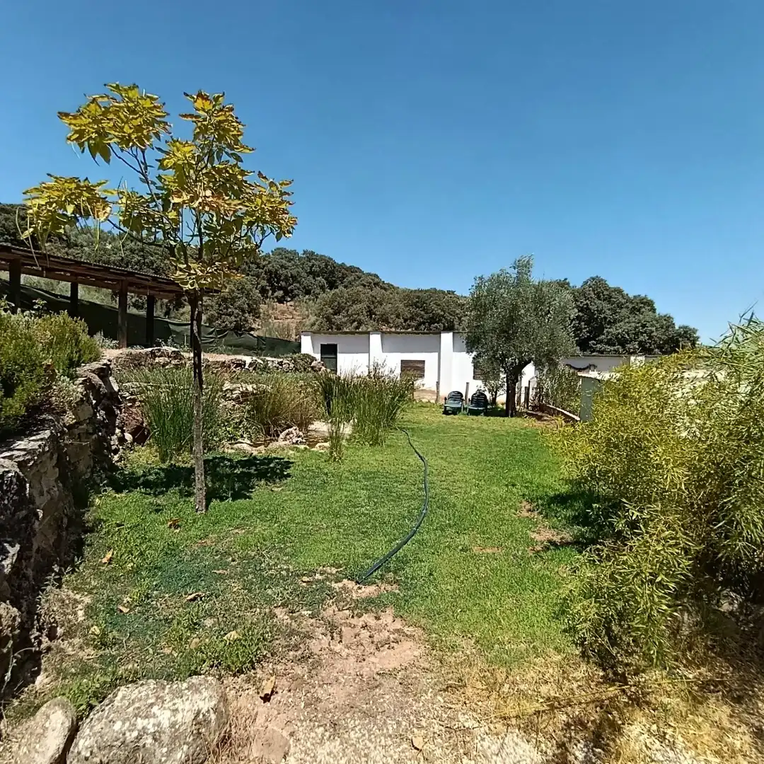 Casa rústica amb terrassa en venda a Loja, imagen 14