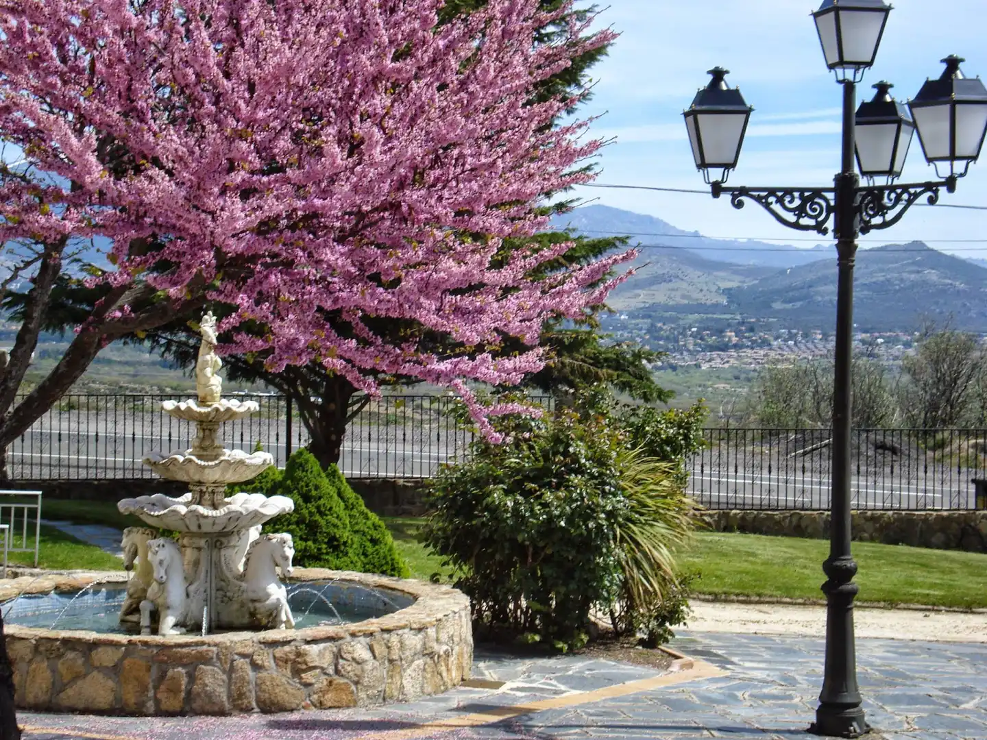 Garten von Gebäude zum Verkauf in Guadarrama