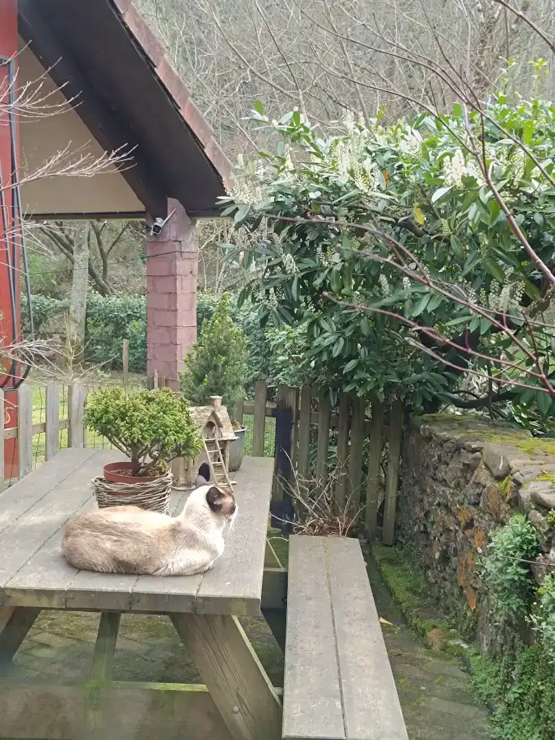 Jardí de Casa o xalet en venda en Soto del Barco