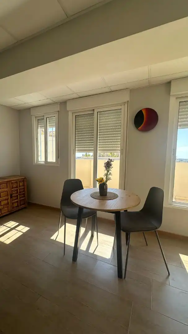 Penthouse mit Terrasse zur Miete in Avenida del Doctor Manuel Domínguez 23, imagen 18