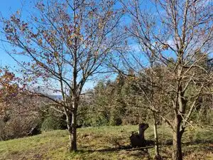 Residential for sale in Gijón 