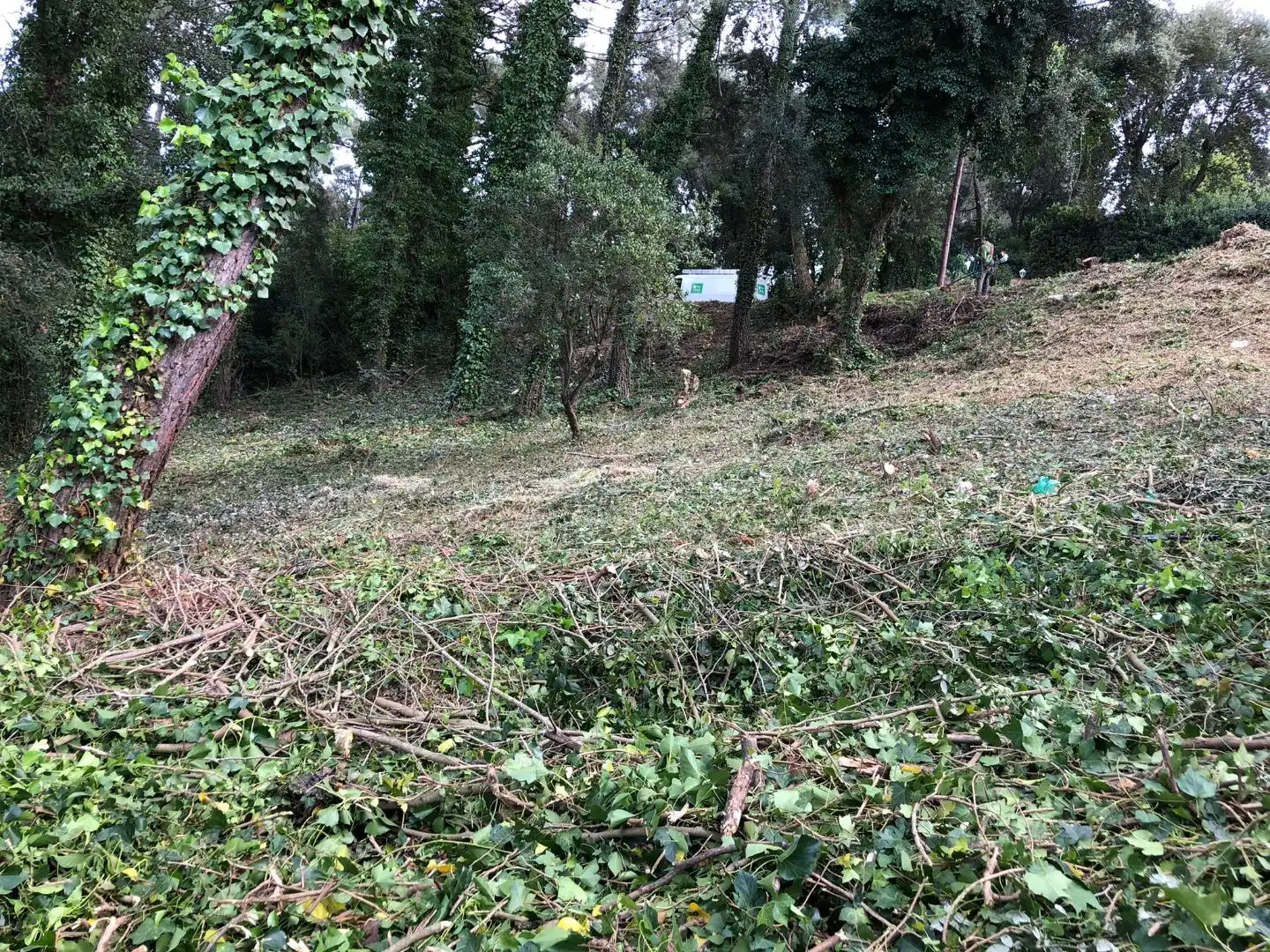 Wohnbaugrundstück zum Verkauf in Carre Baix Camp 32, imagen 3