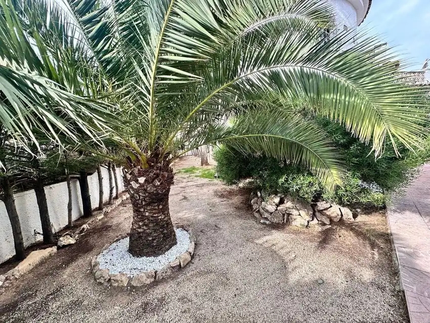 Jardí de Casa o xalet en venda en Mont-roig del Camp amb Traster i Piscina