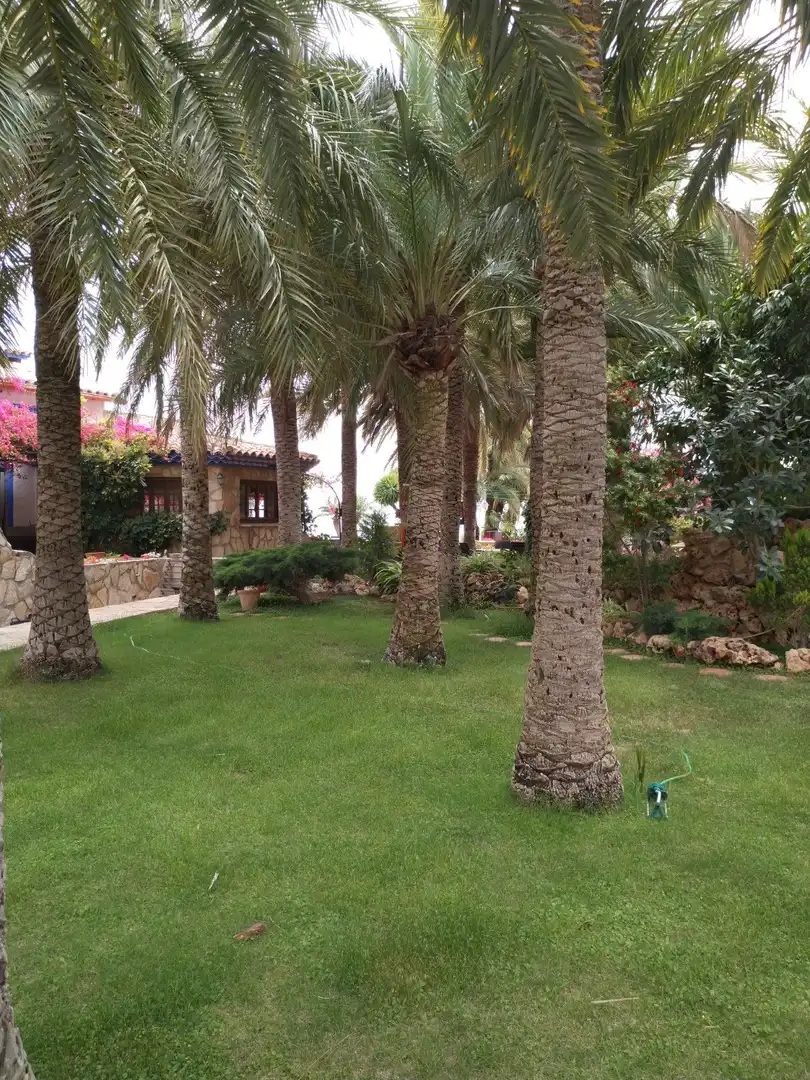 Country homes for sale in Canuta