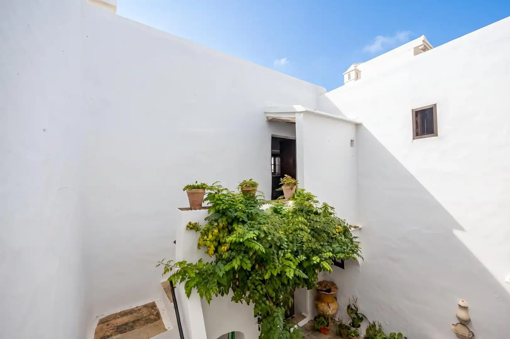 Vista exterior de Casa o xalet en venda en Vejer