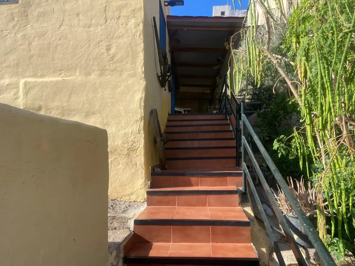 Casa rústica con jardín en venta en La Aldea de San Nicolás, imagen 13