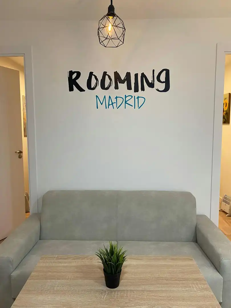 Living room of Flat for share in Madrid  with Heating, Furnished and Washing machine