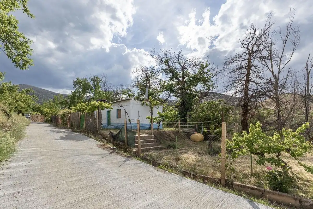 Vista exterior de Finca rústica en venta en Dólar con Terraza