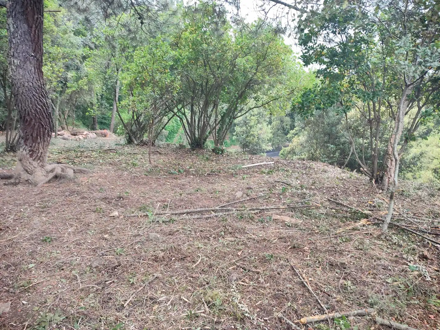 Residential for sale in Vallgorguina