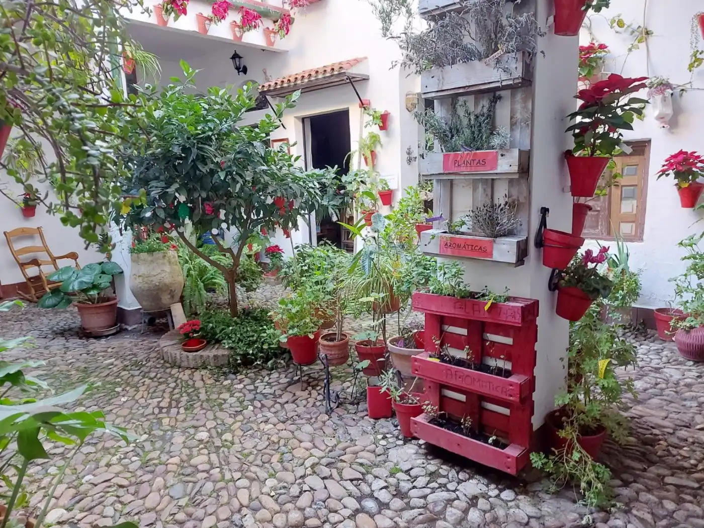 Maison à vendre à Centro, imagen 9