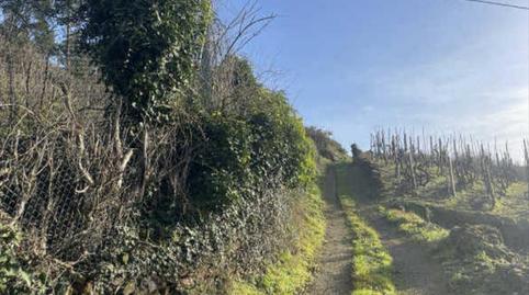 Foto 4 von Residential zum Verkauf in Castrelo de Miño, Ourense
