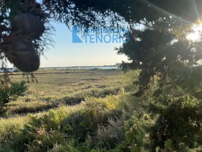 Casa o chalet en venta en El Rompido con Terraza