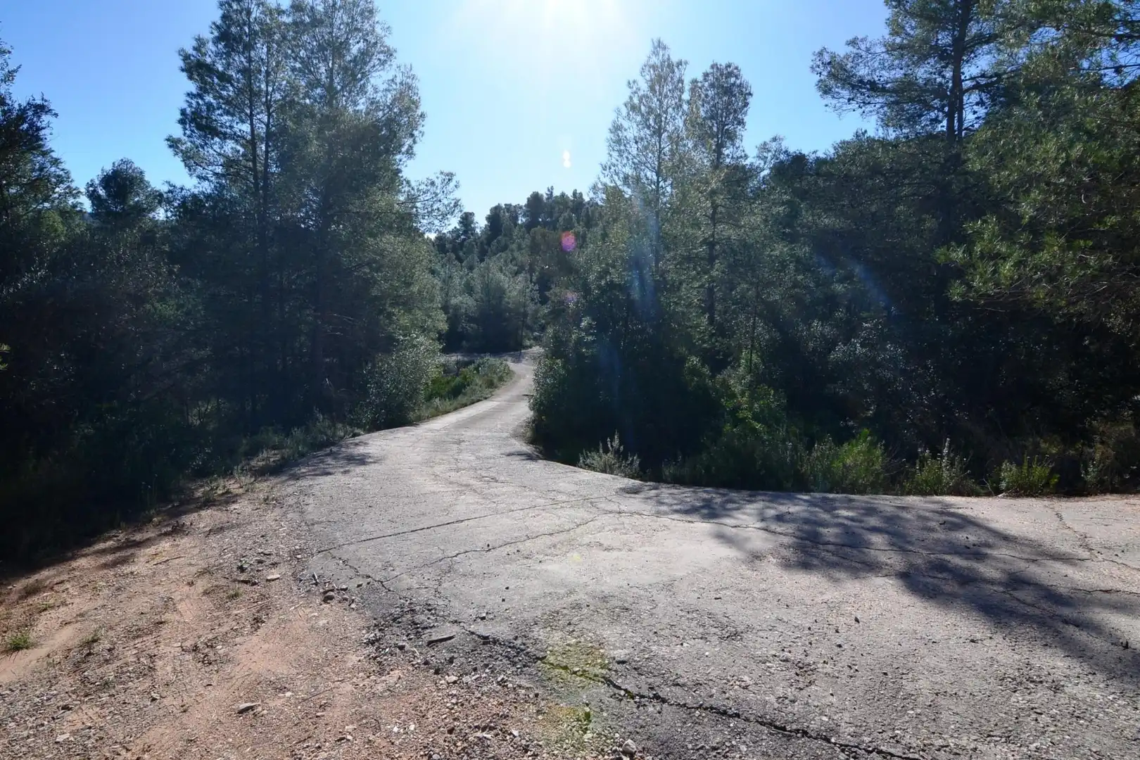 Rural land for sale in Ascó, imagen 47