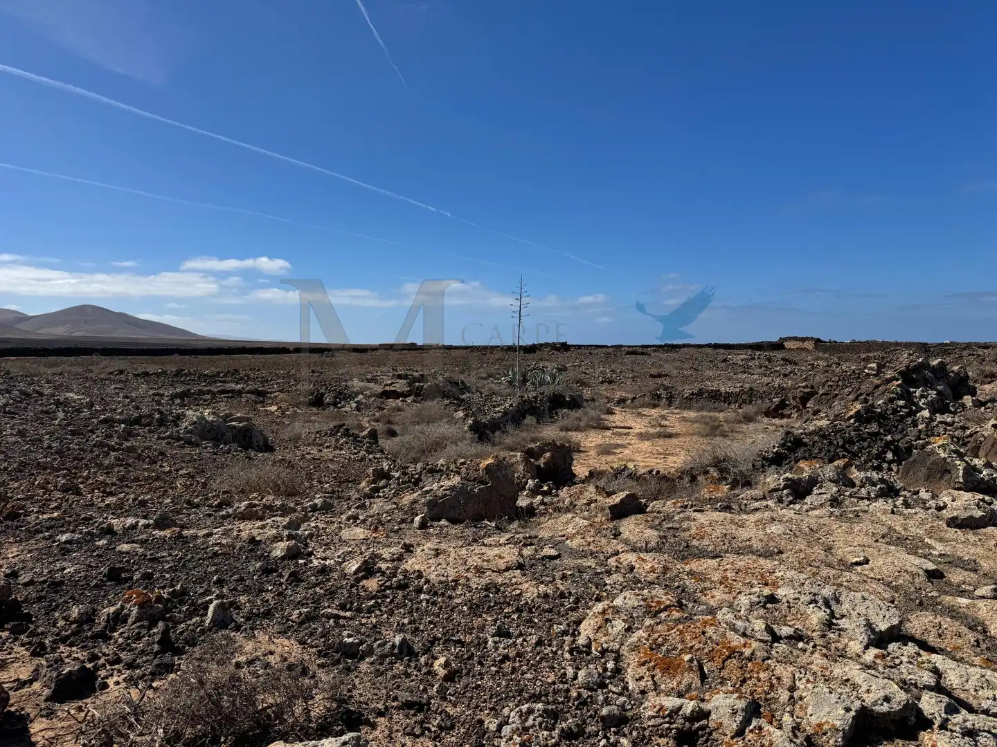 Land for sale in La Oliva