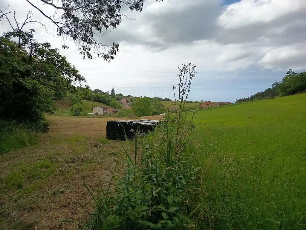 Terreny en venda en Corvera de Asturias