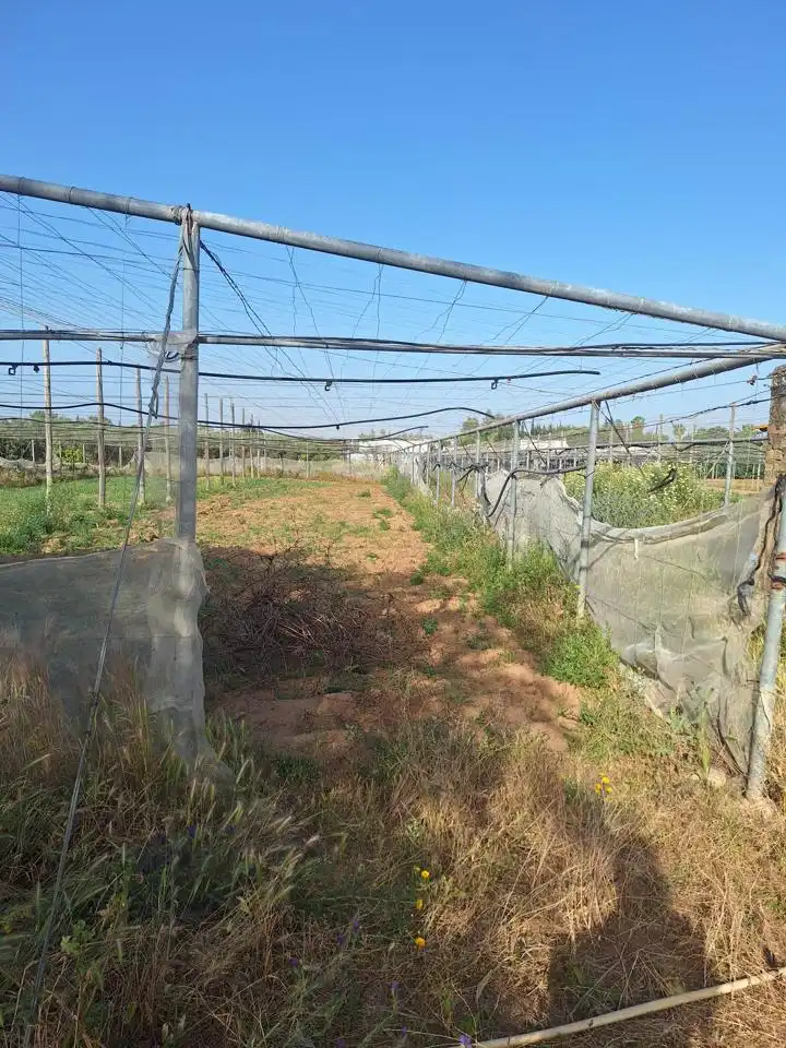 Terreni e lotti in vendita a Pedanías Norte, imagen 2